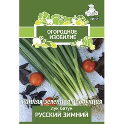 Лук-батун Русский зимний (Поиск)
