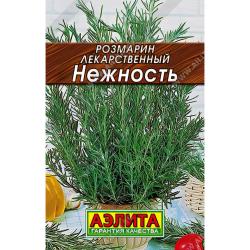 Розмарин Нежность (Аэлита)