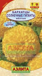 Бархатцы Солнечные гиганты, желтые (Аэлита)