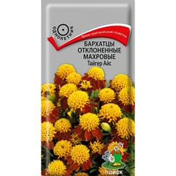 Бархатцы Тайгер Айс (Поиск)