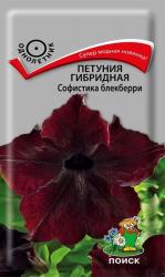 Петуния Софистика Блэкбери F1 (Поиск)