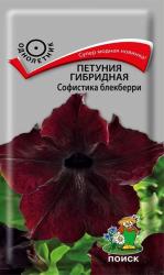 Петуния Софистика Блэкбери F1 (Поиск)