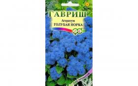 Агератум Голубая норка (Гавриш)