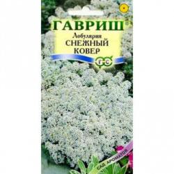 Алиссум Снежный ковер (Гавриш)