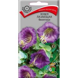 Кобея Фиолетовая (Поиск)