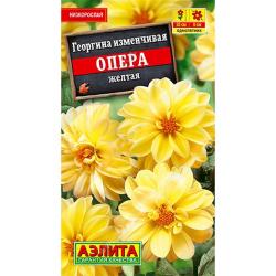 Георгина Опера желтая (Аэлита)