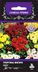 Георгина Фигаро микс (Поиск)