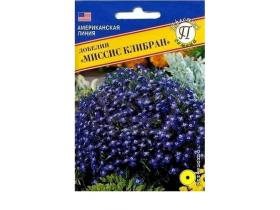 Лобелия Миссис Клибран (Престиж)