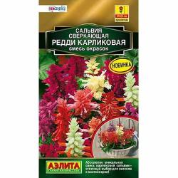 Сальвия карликовая Редди смесь (Аэлита)