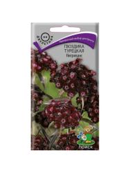 Гвоздика турецкая Нигриканс (Поиск)