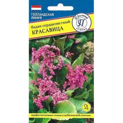 Бадан сердцелистный Красавица (Престиж)