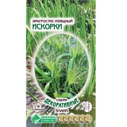 Эрагростис изящный Искорки (Евросемена)