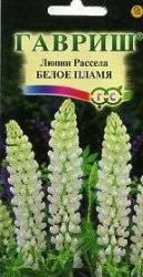 Люпин Белое пламя (Гавриш)