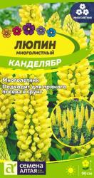 Люпин Канделябр многолетний (Семена Алтая)