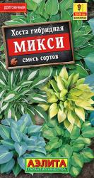 Хоста Микси, смесь (Аэлита)