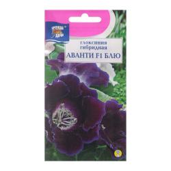 Глоксиния Аванти Блу F1 (Урожай Удачи)