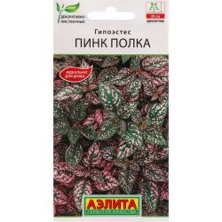 Гипоэстес Пинк Полка (Аэлита)