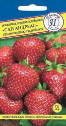 Земляника ремонтантная Сан Андреас (Престиж) семена
