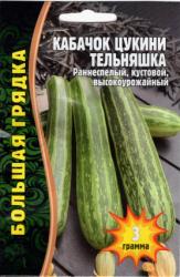 Кабачок Тельняшка (Частная коллекция)