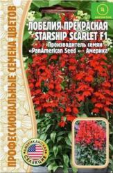 Лобелия прекрасная Starship Scarlet (Частная коллекция)