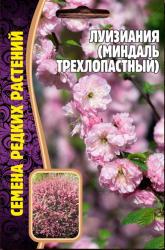 Луизиания (Миндаль трехлопастный) (Частная коллекция)