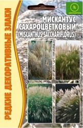 Мискантус сахароцветковый (Частная коллекция)