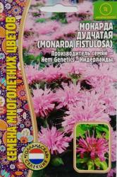 Монарда Дудчатая (Частная коллекция)