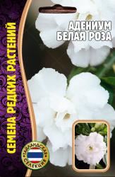 Адениум Белая роза (Частная коллекция) 3 шт