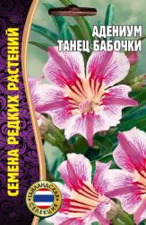 Адениум Танец бабочки (Частная коллекция) 3 шт