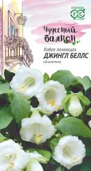 Кобея лазающая Джингл беллс (Гавриш)