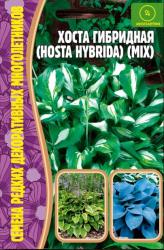 Хоста Hosta hybrida mix (Частная коллекция)
