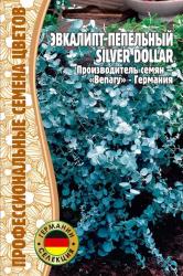 Эвкалипт пепельный Silver Dollar (Частная коллекция)