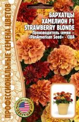 Бархатцы отклоненные Хамелеон Strawberry Blonde F1 (Частная коллекция)