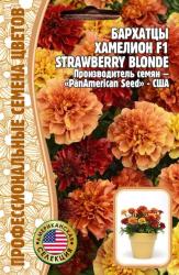 Бархатцы отклоненные Хамелеон Strawberry Blonde F1 (Частная коллекция)
