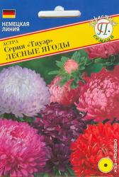 Астра Тауэр лесные ягоды (Престиж)