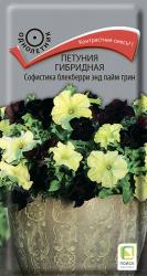 Петуния Софистика блекберри энд лайм грим F1 (Поиск)
