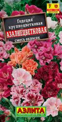 Годеция Азалиецветковая, смесь (Аэлита)