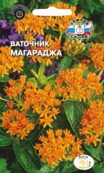 Ваточник Магараджа (СеДек)