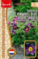 Прострел Pinwheel Blue Violet Shades (Григорьев)