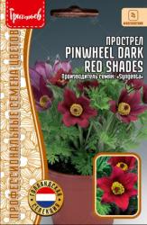 Прострел Pinwheel Dark Red Shades (Григорьев)