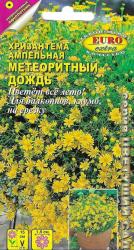 Хризантема однолетняя ампельная Метеоритный дождь (Аэлита)