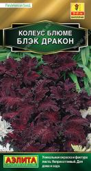 Колеус Блюме Блэк Дракон (Аэлита)