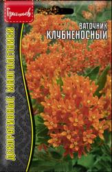 Ваточник клубненосный Asclepias tuberosa (Частная коллекция)