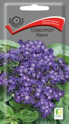 Гелиотроп Марина (Поиск)