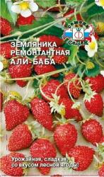 Земляника Али-Баба, ремонтантная (СеДеК) семена