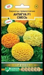 Бархатцы Антигуа, смесь F1 (Евро семена)