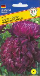 Астра Тауэр фиолетовая (Престиж)