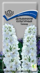 Дельфиниум Галахад (Поиск)