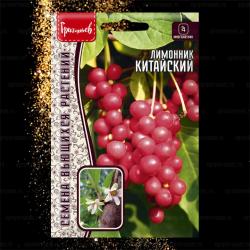 Лимонник китайский (Частная коллекция)