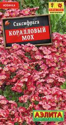 Саксифрага (камнеломка) Коралловый мох (Аэлита)